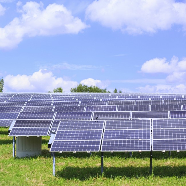 Poland's largest solar farm comes online